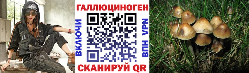 OMG ONION  Удомля  Псилоцибиновые грибы Magic Shrooms  что такое наркотик 